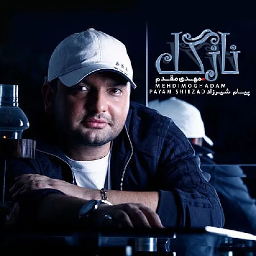Nazgol Mehdi Moghadam